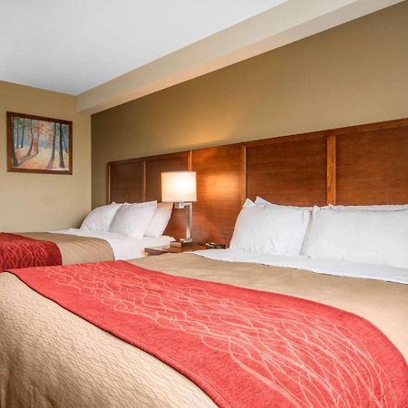 Comfort Inn & Suites Langley Luaran gambar